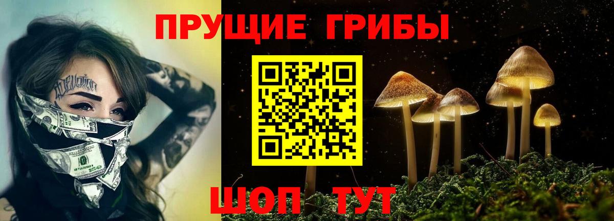 Карталы  Псилоцибиновые грибы Psilocybine cubensis  Вход с VPN 